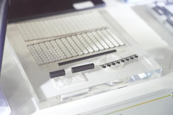 明升mansion88(中国游)最新官方网站